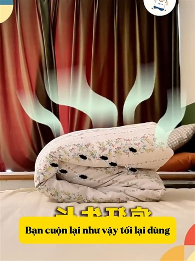 Funny TikTok Videos that Will Make You Laugh