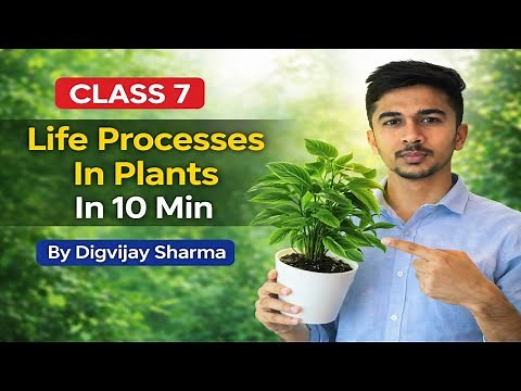 Life Processes in Plants in 10 Minutes | NCERT Class 7 Science
