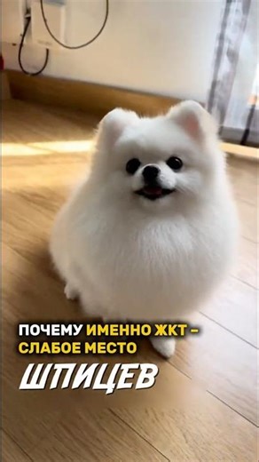 Я беру этот на WB: #WW146544 (копируй с буквами WW)