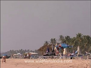 Goa_seascape_14