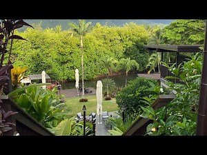 Paradise Bay Resort Oahu kids tour