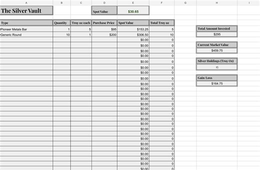 The Gold & Silver Vault Investment for Two People (excel Sheet Tracker for Bullion, Coins, Bars, Precious Metals)(state of the Stack) - Etsy Australia