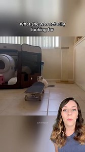 334K views · 10K reactions | He said he wasn’t a “cat person.”...