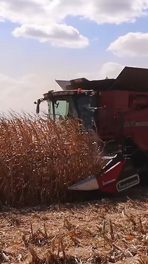27K views · 474 reactions | Dialing In Our New Corn Head! #farming #farmerlife #farmers | Cole the Cornstar | Facebook