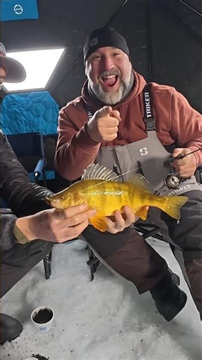 lake cascade jumbos #fishing #icefishing #viral
