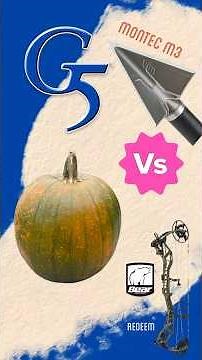 G5 Montec M3 vs. Pumpkin: Fixed-Blade Power Test! 🎃🏹