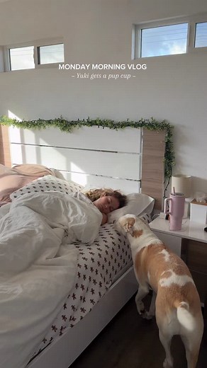 4K views · 53 reactions | Yuki is driving me crazy this morning with his whining and energy﫠 #vlog #morningroutine #dog #pets #dogmom #lifestyle | ceceandherpups | Facebook