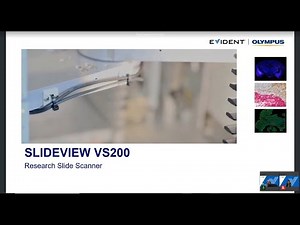 The slide scanner as a modern laboratory workhorse
