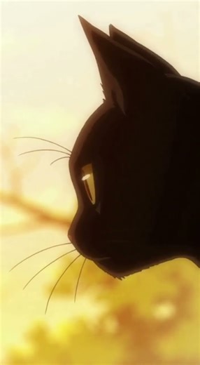 Silent Hunter on the Windowsill #anime #animecinematic #cutecat
