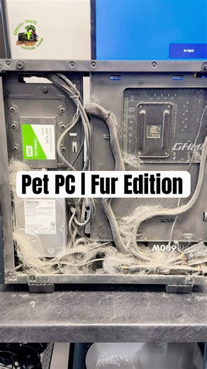 This gaming PC had more pet fur than airflow 💀🐾 #gaming #gamers #pets #gamingsetup #desktop