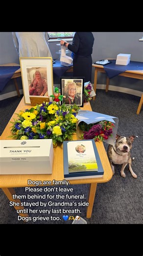 The Importance of Including Dogs in Funerals