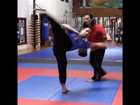 How To Do a Wheel Kick / Spin Kick - CyberDojang.com: Hwa Rang Do®