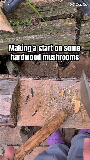 Hardwood Mushroom Carving Technique - Time to Level Up Your Skills