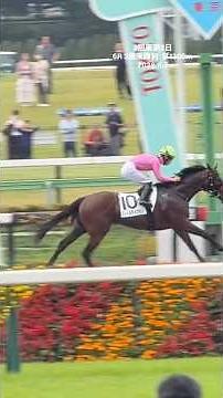 荻野 極騎手 今年33勝目 フィールマイプラン サトノクラウン産駒 ３回東京2日 6R 3歳未勝利 ダ1300m