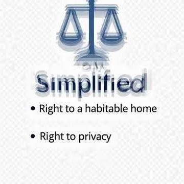 Legal Basics And Rights Explained Clearly