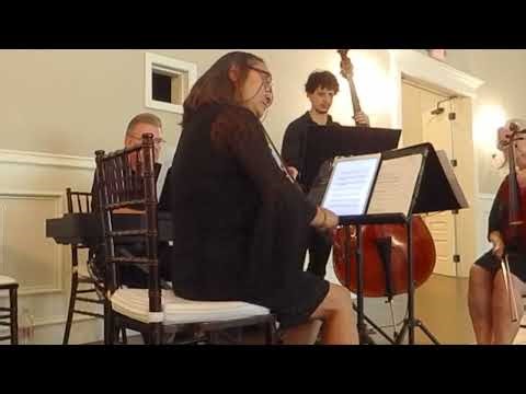 Saint-Saëns - The Swan - Violin & Piano by Serenata Strings DFW