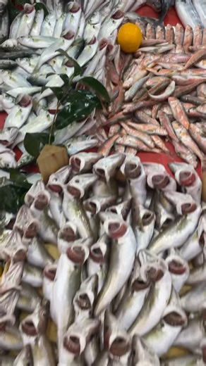 BALIKÇI ZAFER on Instagram: "Canınız taze balikmi çekti?🐟 Hemen sipariş verin kapiniza kadar getirelim 🐟 BALIKÇI ZAFER olarak; Tazelikte, Hijyende ve Hızda iddialıyız! 💯 Yılın 365 Günü, taptaze deniz ürünlerini kapınıza getiriyoruz! Hemen arayın, lezzeti evinize taşıyalım! 👇 📞 ALO SİPARİŞ HATTI: (0212) 890 52 52 | (0532) 596 34 27 📍 Adres: Atakent Mah. Kuşlartepesi Cad. No:2/2 Halkalı - K.Çekmece / İSTANBUL#içeriküretimi"