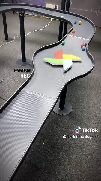 Marble Run Race: Who Do You Support?