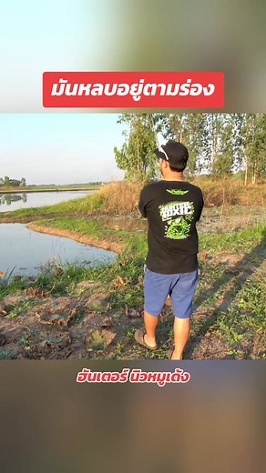 25K views · 977 reactions | ไซส์สวยเลยครับ  #น้าหนึ่งฮันเตอร์ #เหยื่อฮันเตอร์ #ตกปลา #ตกปลาช่อน #fypシ | Hunter lure frog jump. | Facebook
