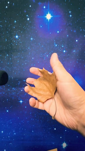 Crunching Dry Maple Leaf Sound Effect — Clean Realistic Leaf Crushing Foley (HQ)