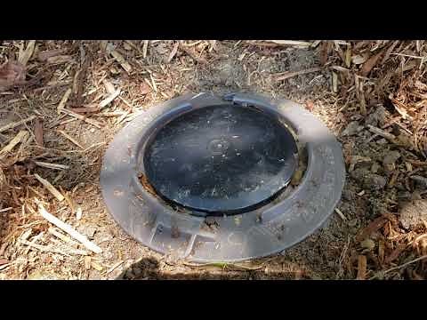 Keeping up with Terminix termite bait traps