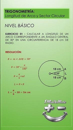 LONGITUD DE ARCO Y SECTOR CIRCULAR - BASICO 1 #matematicas