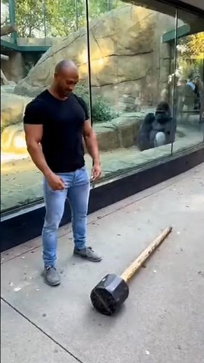 Bodybuilder vs Gorilla Strength Test! 🦍💪 Shocking Zoo Moment# short #viral
