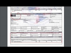 Registro de DIM, factura de importación.