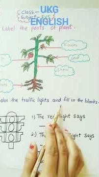 UKG EVS worksheet || UKG EVS Worksheet || #ukg #ukgworksheets