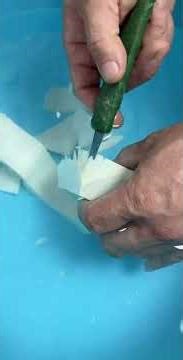 Youth Creative Support Program One Shot to the End