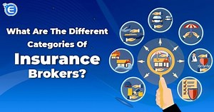What are the different categories of Insurance Brokers? - Enterslice