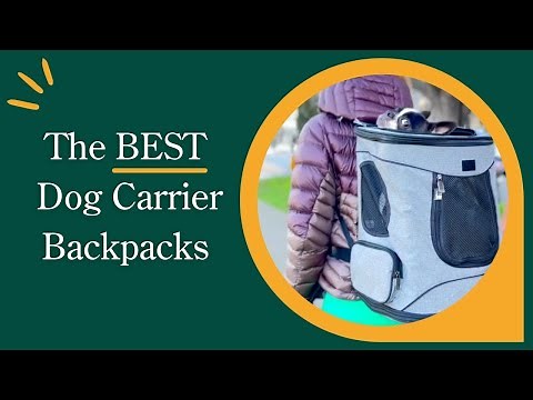 7 Best Dog Carrier Backpacks of 2022
