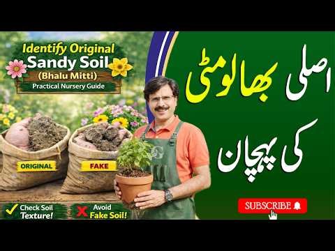 How to Identify Original Sandy soil (Bhalu Mitti) | Practical Nursery Guide