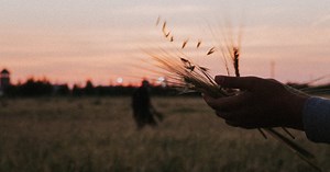 Jim Crace’s ‘Harvest’   More UK Productions are Greenlit and Casting