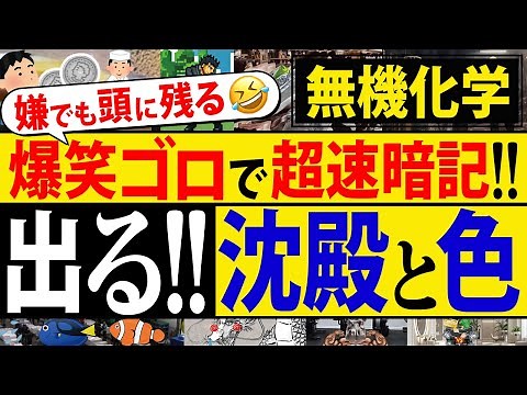 共通テスト対策【爆笑ゴロ】"沈殿物とその色"を一瞬で暗記！一生忘れない覚え方【高校化学】無機の反応原理#6