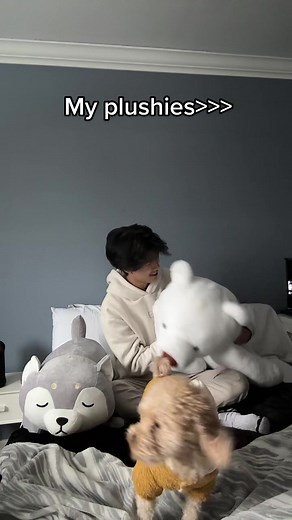 Plushies from @plumpyplushies 🤍 use my link in bio for discount!! #fyp #asian #plushie #squishmallows #dog