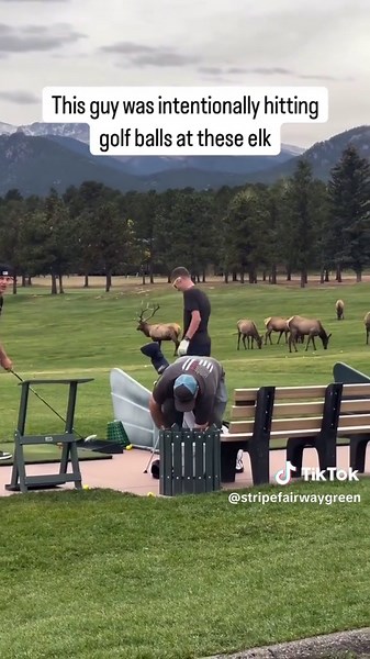 Maximize Your Golf Swing Technique for Success