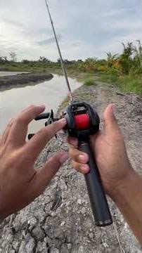 Casting tutorial using bc. #fishing #fishing