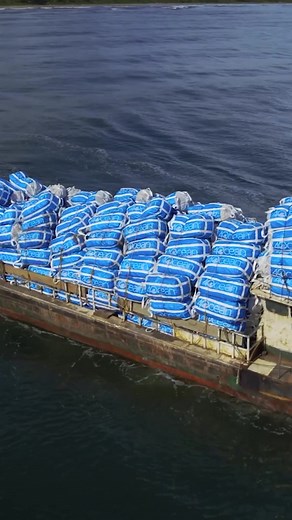 4ocean's 2024 Milestone: 40 Million Pounds of Trash Removed