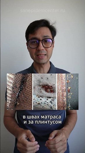 Укусы клопов на теле человека - признаки постельных клопов в квартире!