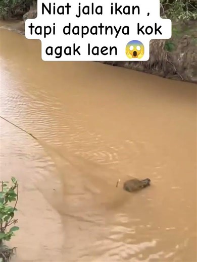 Niat jala ikan, dapatnya kok ini 😱 #mancing #fishing #funny #fyp