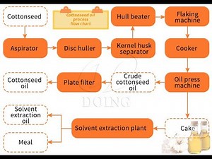 Cottonseed oil production process video