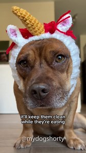 🎃 Halloween Special 🎃 Buy 2 Zoo Snoods and get a 3rd FREE! 🐾👻 | Zoo Snoods