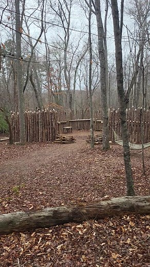Build Your Dream Fort in the Woods: Share Your Ideas