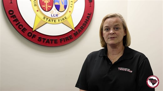 3.4K views · 32 reactions | At SC State Fire, our people make the difference. In this video, meet one of our engineers who shares why she loves her work and why she’s proud to be part of an agency dedicated to protecting lives and property across South Carolina. If you're looking for meaningful work with a purpose, SC State Fire is hiring. Join a team where passion meets service: https://www.governmentjobs.com/careers/sc/llr?keywords=State%20fire | South Carolina State Fire | Facebook