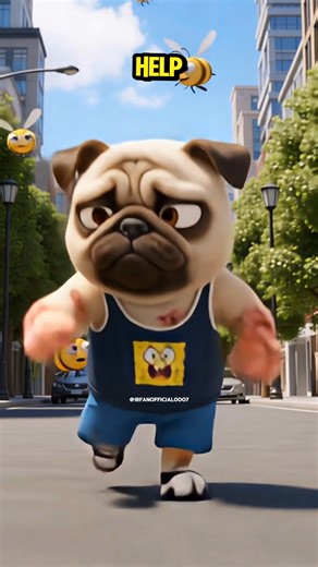 Help the Pug 😂😺🐶 #kitten #pug #funny