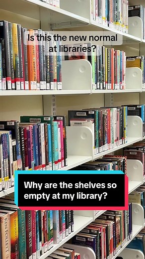 Understanding Library Standards: Concerns and Insights