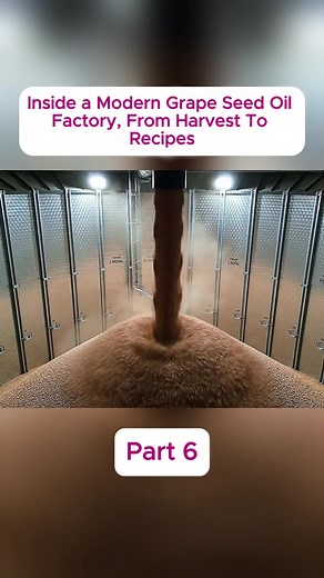 Inside a Modern Grape Seed Oil Factory, From Harvest To Recipes #GrapeSeedOil #ModernFactory #HarvestToRecipes #SustainableCooking #HealthyOils