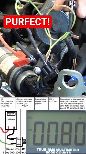 R107 - ISCV Amp Draw Test: Perfect 800mA Reading #560SL #R107 #TonLiveTV
