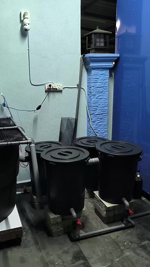 DIY Aquaponic Filter - Mechanical Filter System for Ras Talapia and Keli